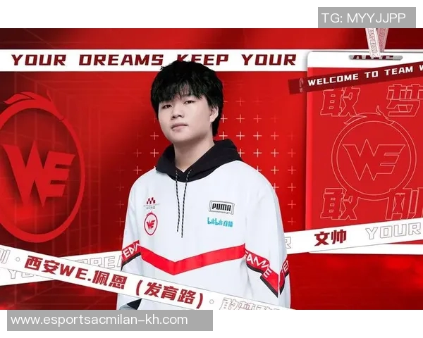 电竞实时数据职业联赛分析WE战队选手个人能力表现与团队协作的关系